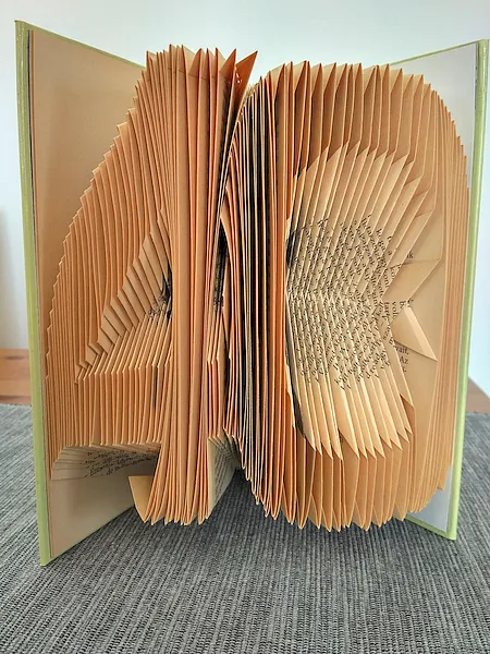 40 40
